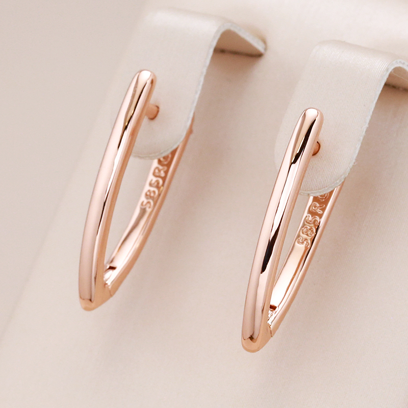 Elegant earrings